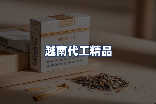 越南代工精品